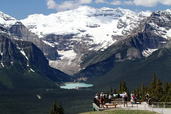 Lake Louise Gondola: Grizzly Bear & Wildlife Viewing!
