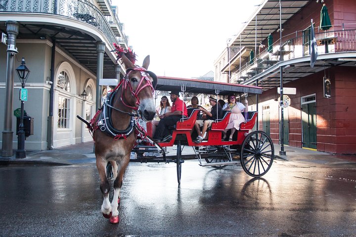 NOLA Carriage Ride: French Quarter History & Fun!