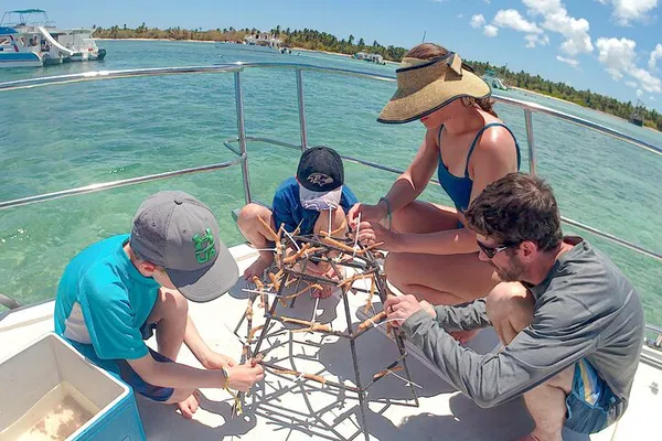 Punta Cana Snorkel & Seafood Lunch: All Ages Welcome!