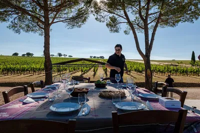 Unveiling Valentini's Vineyard Secrets: A Private Wine Tour & Tasting