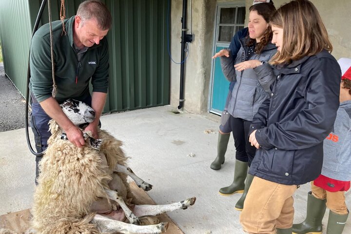 Experience Image img2