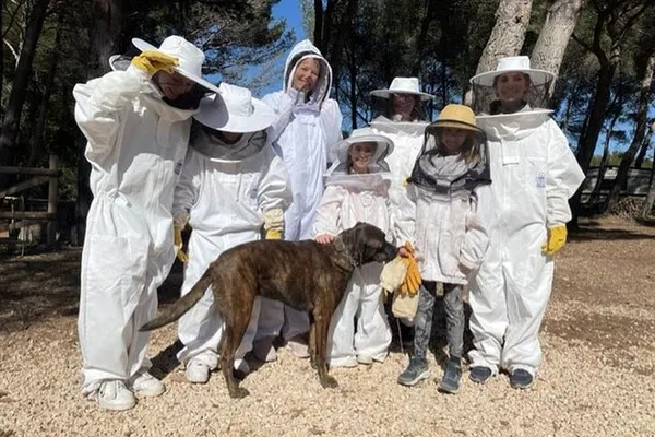 Bee a Beekeeper: Honey & Hive Tour in Alpilles!