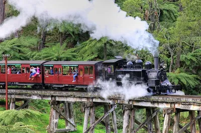 Puffing Billy & Healesville Sanctuary Day Trip