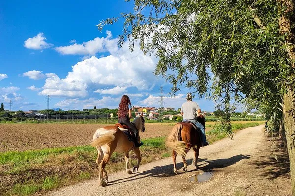 Lakeside Horseback & Wine Tasting: A Blissful Lazise Escape