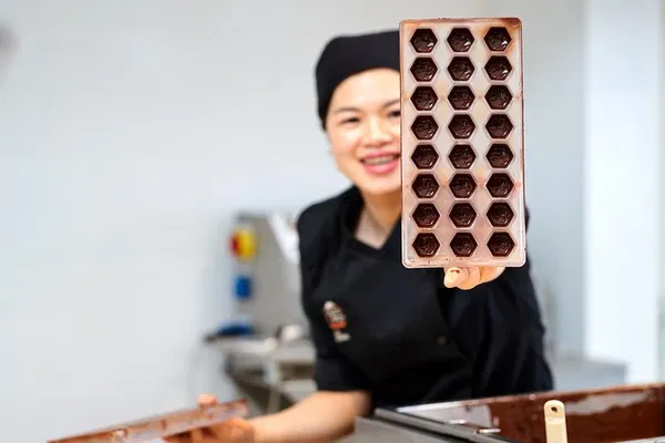 Brussels Chocolate Museum: History, Tasting & Demo