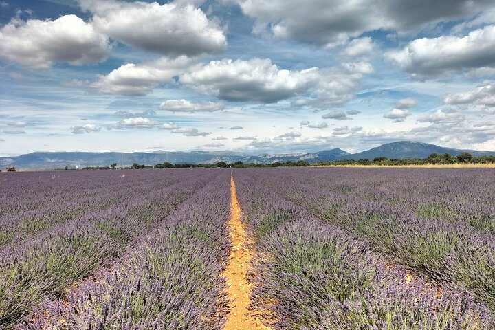 Experience Image img1