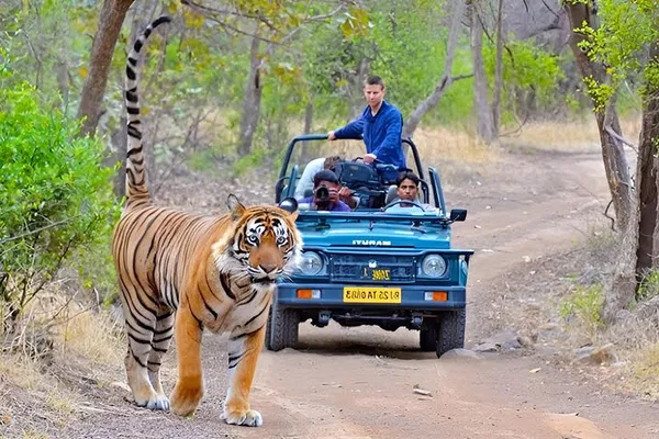 Golden Triangle & Tiger Safari: Delhi, Agra, Jaipur Adventure