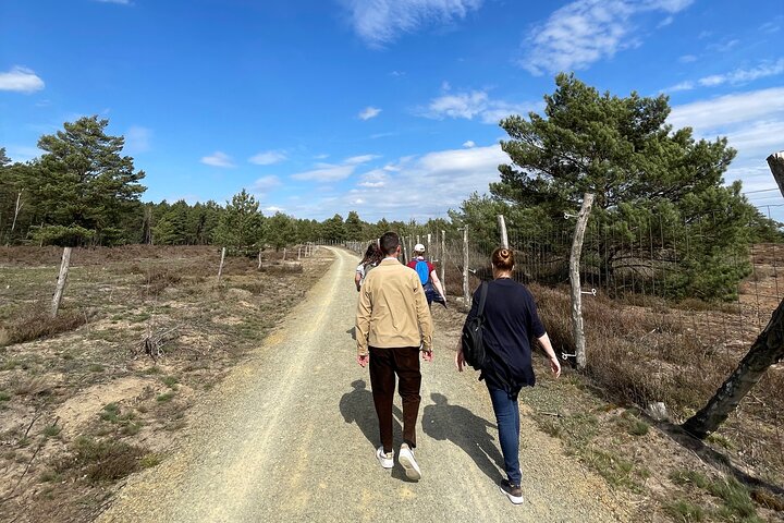 Experience Image img4