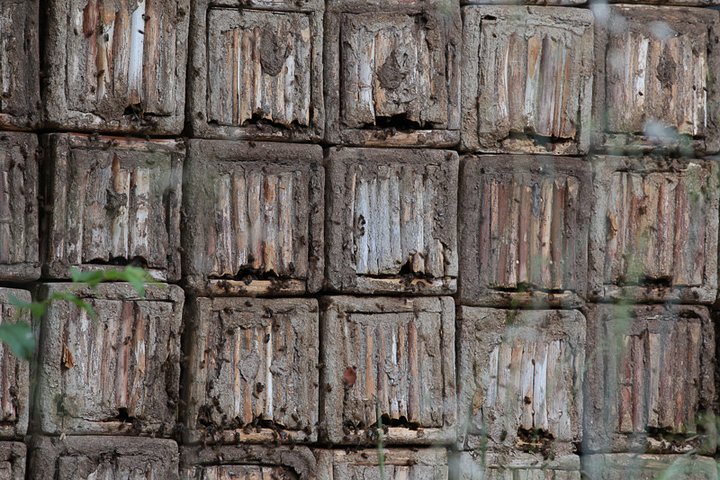 Experience Image img2