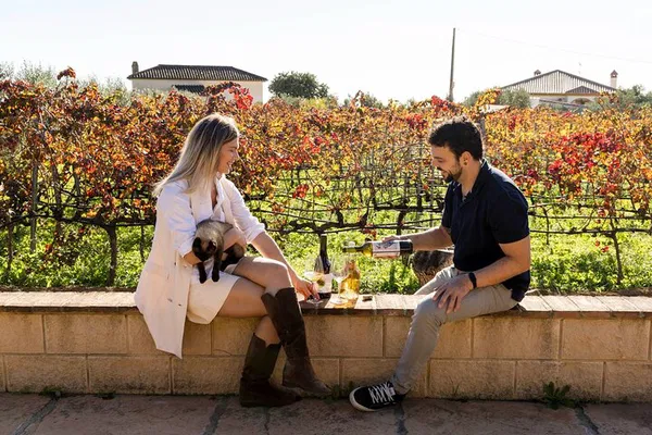 Mijas Wine Tour: Vineyard Visit, 6 Wines & Tapas