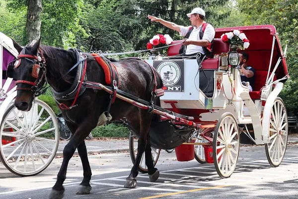 Central Park Carriage Ride: A Timeless Tavern on the Green Journey