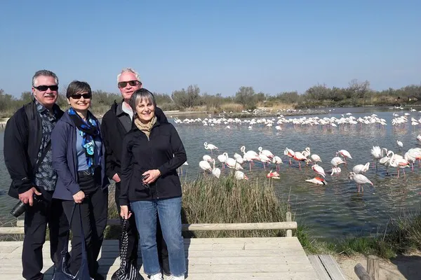 Camargue: Flamingos, Traditions & Aigues-Mortes Day Trip