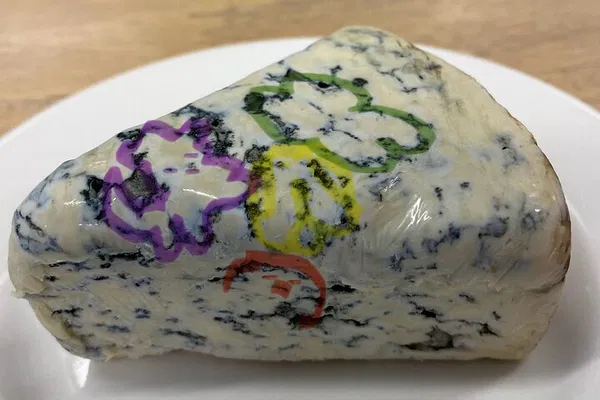 Unlock Your Fate: Fortune Reading with Cheese in Chicago!