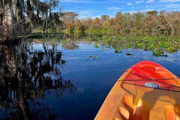 Glide Through Paradise: Kayak the Manatee Haven at Blue Spring!