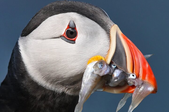 Experience Image img2