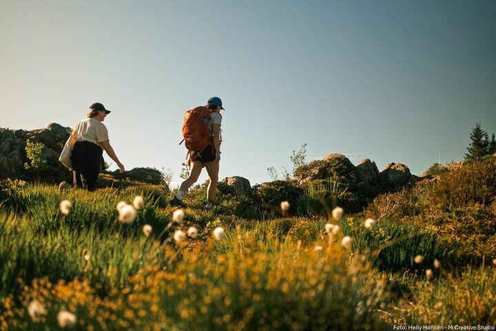 Experience Image img2