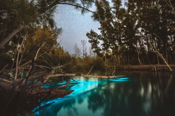 Glide Through Bioluminescent Waters: A Clear Kayak Adventure!