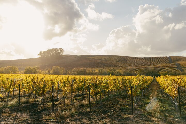 Experience Image img3