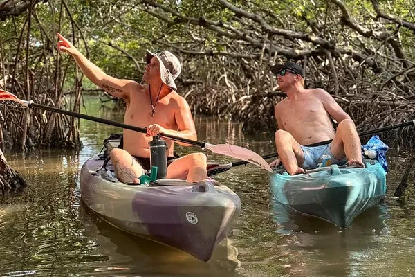 Shell Key Kayak Tour: Mangrove Tunnels & Beach