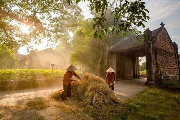 Step Back in Time: A Private Cultural Journey to Duong Lam Ancient Village