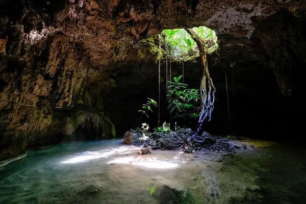 Uncover Riviera Maya's Hidden Gems: Private Cenote Adventure