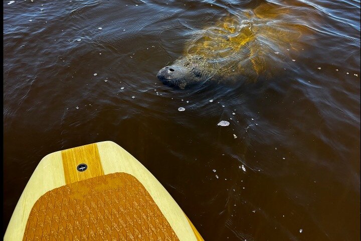 Experience Image img4