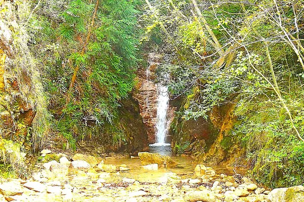 Arima Onsen's Healing Forest: A Historic Hiking Adventure