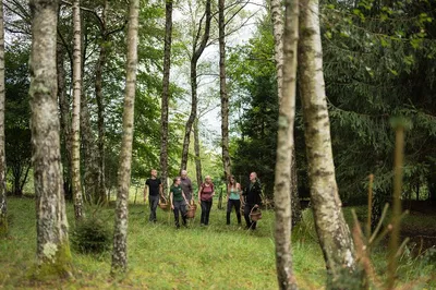 Mushroom Foraging Adventure: Taste Slovenia's Hidden Forest