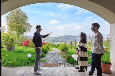 Langhe Wine Region: A Private, Expert-Led Wine Tour