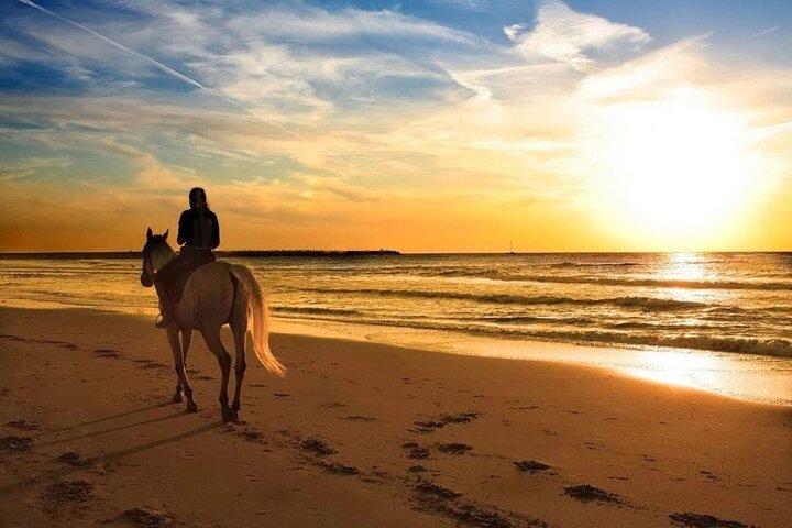 Sunset Beach Ride: Experience Phuket's Enchanting Coastline on Horseback