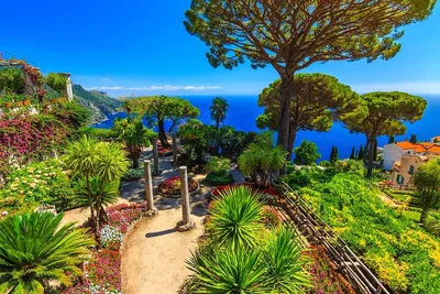 Unveiling Amalfi: A Luxurious Wine Tour from Positano