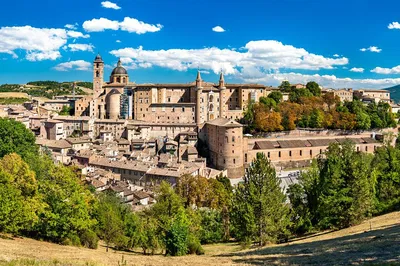 Uncover Urbino's Renaissance Treasures: A Kid-Friendly Family Adventure