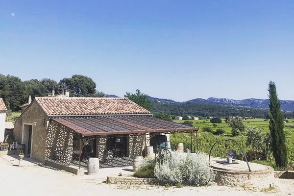 Bandol Wine Tasting: An Immersive Cellar & Vineyard Experience