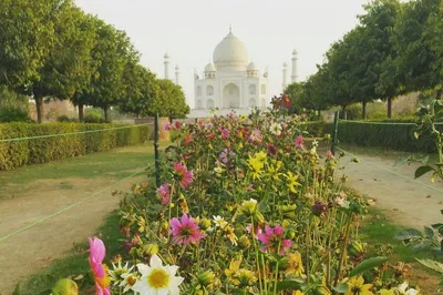 Taj Mahal & Agra Private Day Trip from Jaipur: An Exquisite Journey