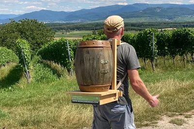 Uncover Secrets: Outdoor Escape Game in Tuniberg's Wine Country!