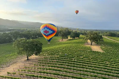 Sonoma Wine Country Balloon Flight: Breathtaking Views!