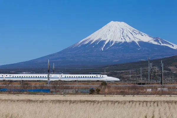 Unforgettable Mt. Fuji & Hakone Adventure: A Bullet Train Day Trip