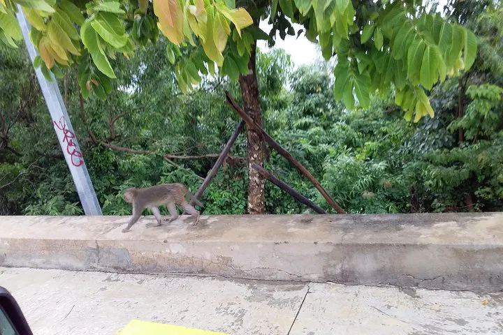 img0