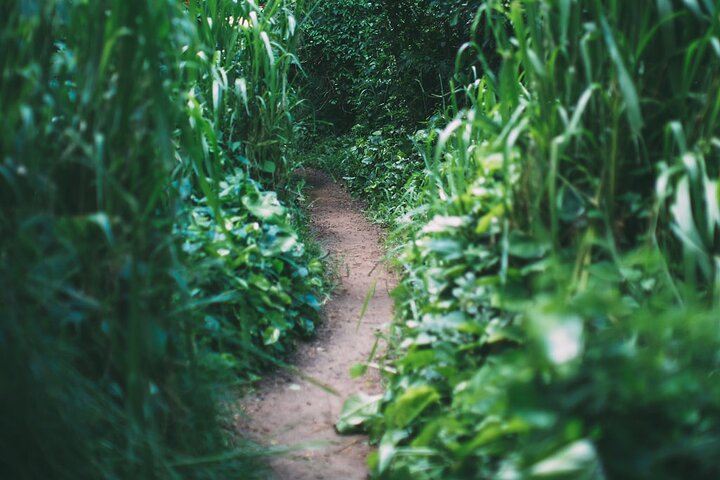 Experience Image img3