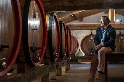 Indulge in Tuscany: A Private Brunello Wine Tour from Florence