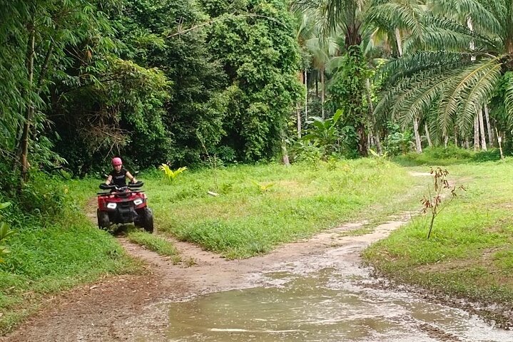 Khaolak Wild Ride & Gentle Giants: An Unforgettable Ethical Adventure
