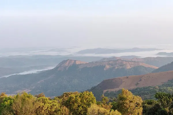 Conquer Kodachadri: Trek to Karnataka's Majestic Peak!