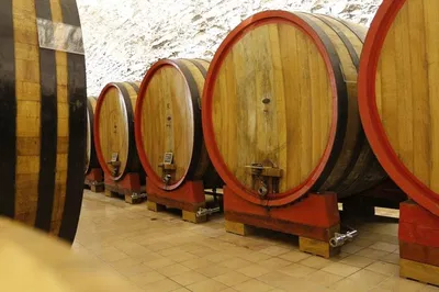 Valpolicella Wine Tour: Uncover Amarone Secrets & Vineyard Delights