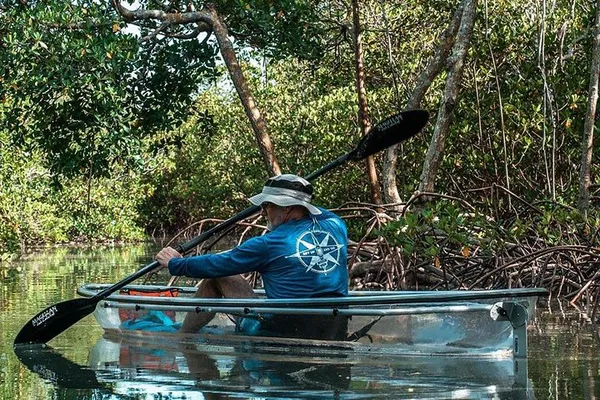 Glide Through Fort Pierce's Mangrove Tunnels on a Clear Kayak Adventure!