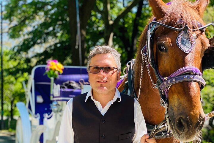 Central Park Horse Carriage Ride: A Timeless NYC Experience