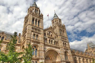 Natural History Museum: Free Entry & Audio Tour