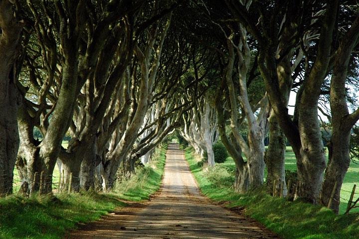 Embark on an Epic Quest: Game of Thrones & Giant's Causeway Adventure from Belfast
