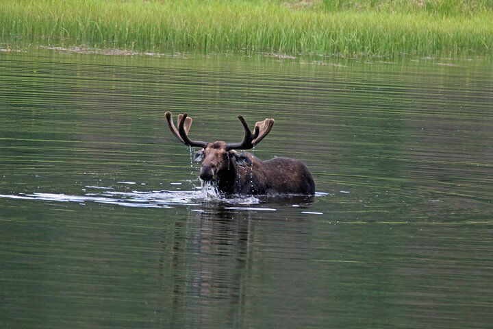 Experience Image img4