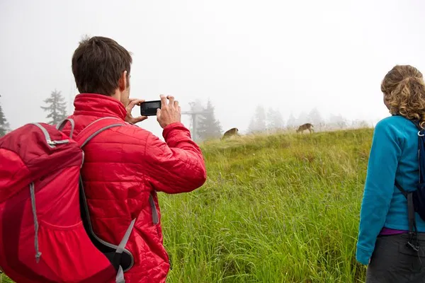 Canmore Wildlife Walk: Spot Animals & Nature (2-Hour)