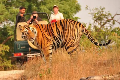 Stress-Free Transfer: Jaipur to Ranthambore Private AC Drop